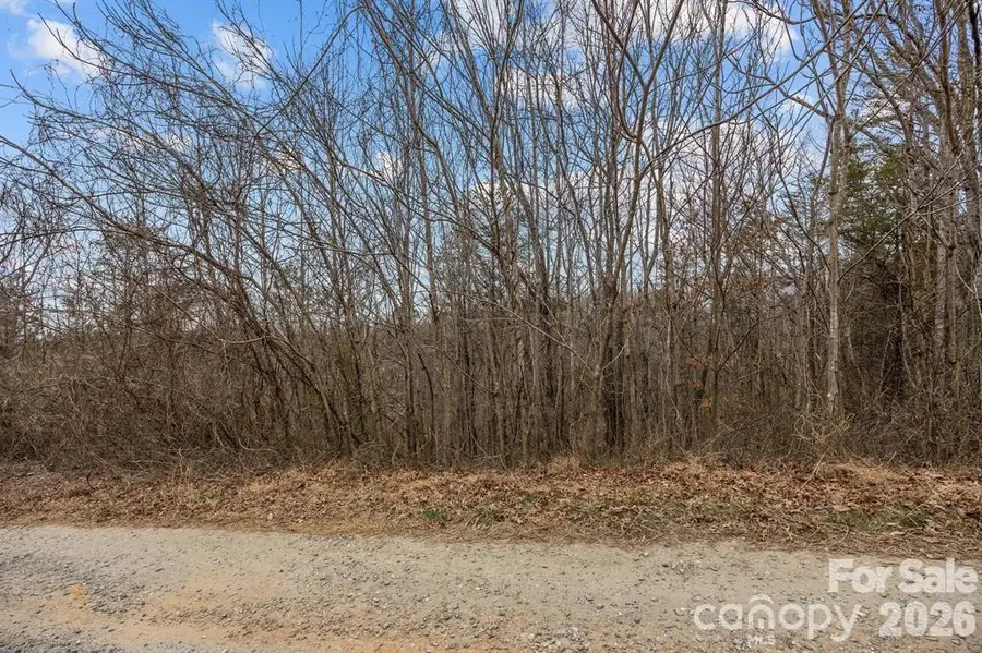 Lot 103 Glenhaven Drive, Marion, NC 28752 - #3