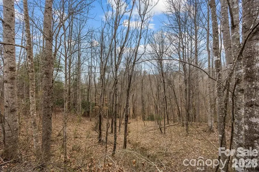 Lot 106 Glenhaven Drive, Marion, NC 28752 - #3