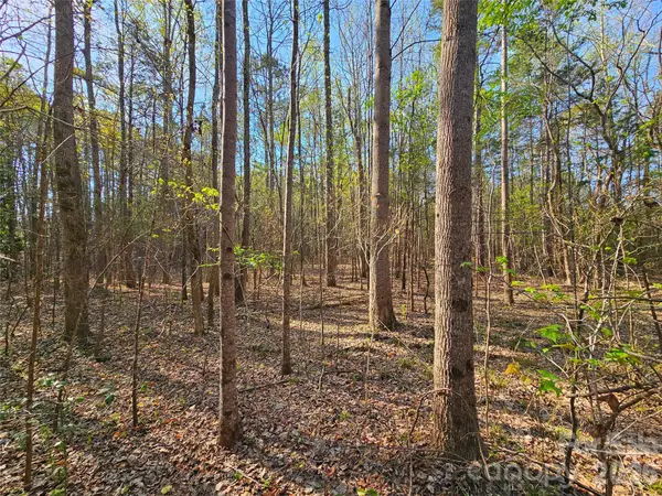 Lot 10 Elliott Road, Richburg, SC 29729