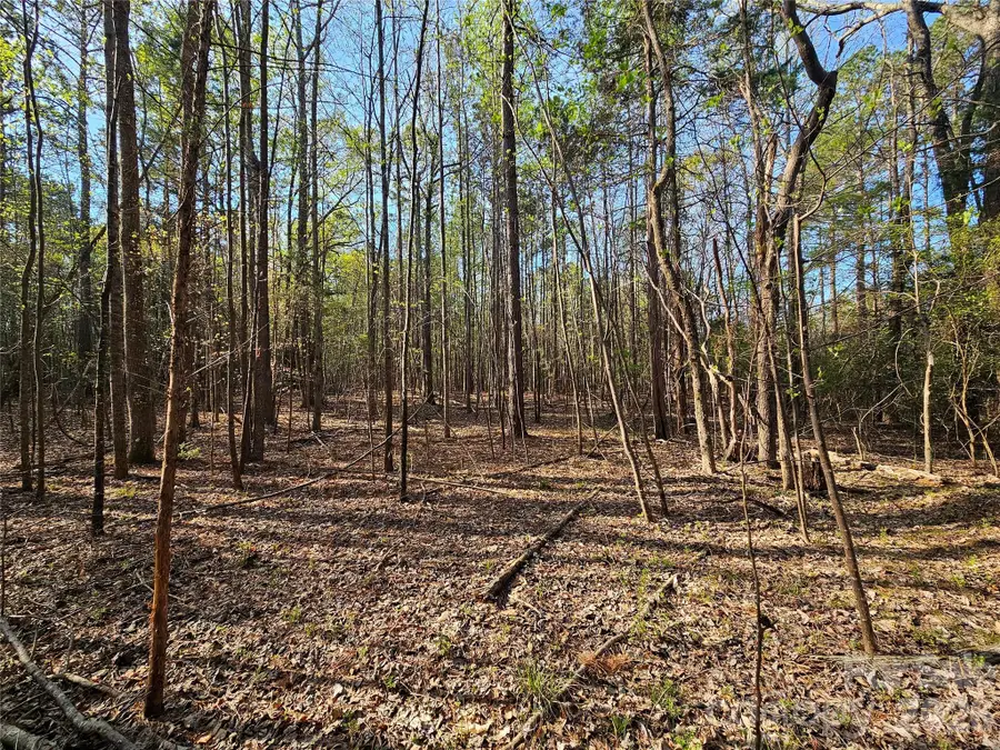 Lot 10 Elliott Road, Richburg, SC 29729 - #2