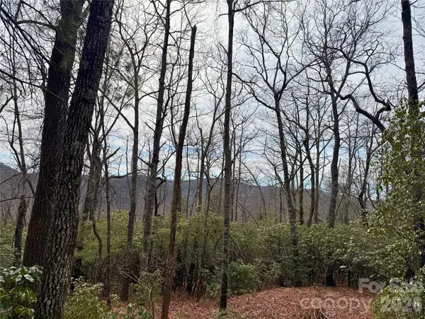 TBD Laurel Thicket Lane, Brevard, NC 28712