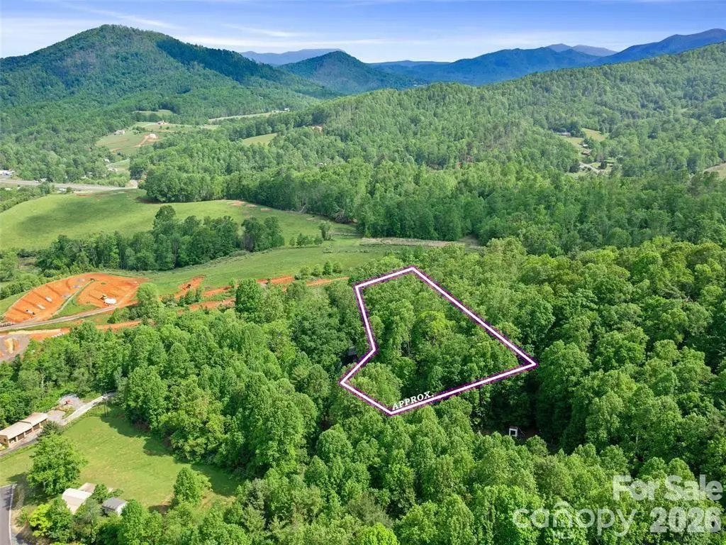 TBD Hinson Thomas Road, Spruce Pine, NC 28777 - #1