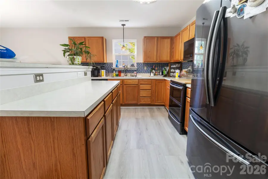 317 Ashton Bluff Circle, Mount Holly, NC 28120 - #2