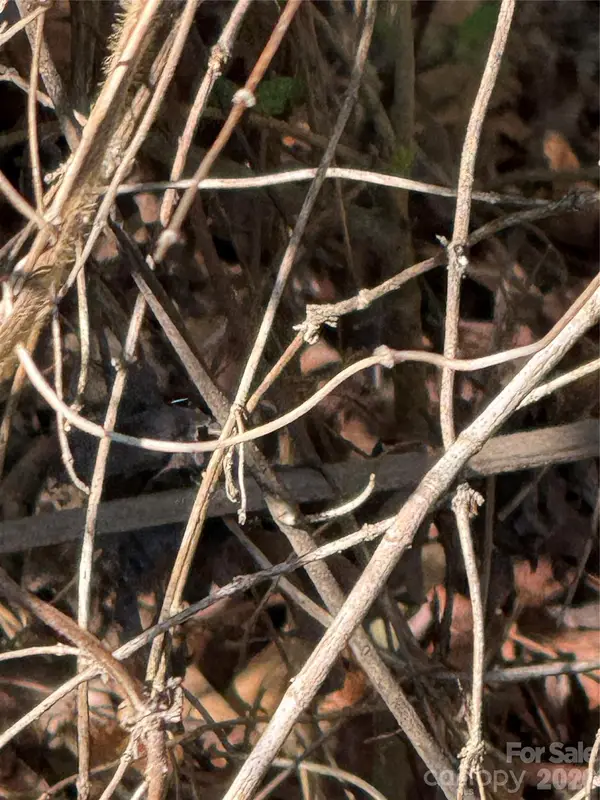 000 Todd Drive Ne, Concord, NC 28025