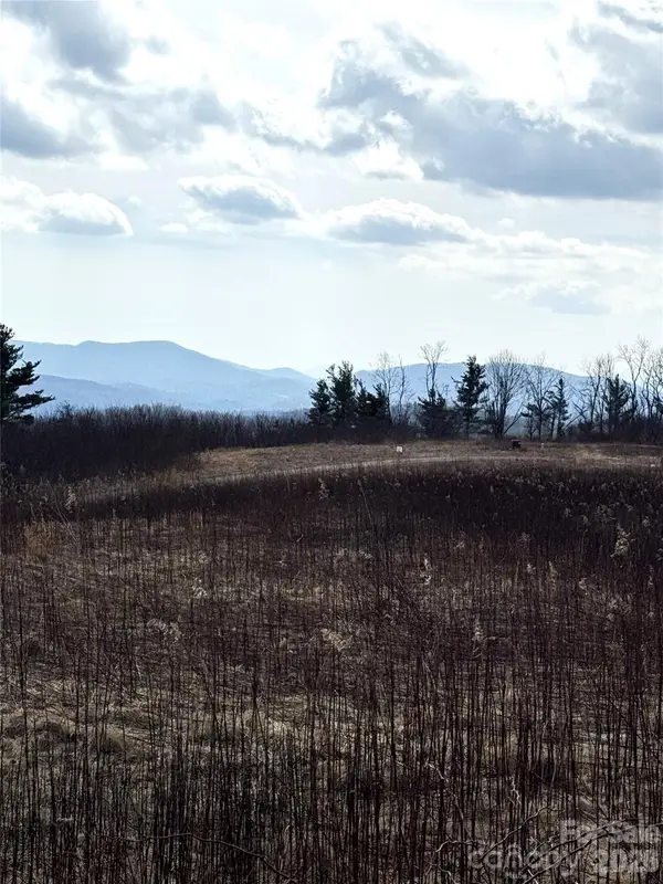 TBD Lot 52 Crestwood Circle, Linville, NC 28646