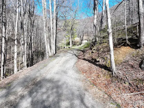 1002 Ned Cove Road, Waynesville, NC 28785