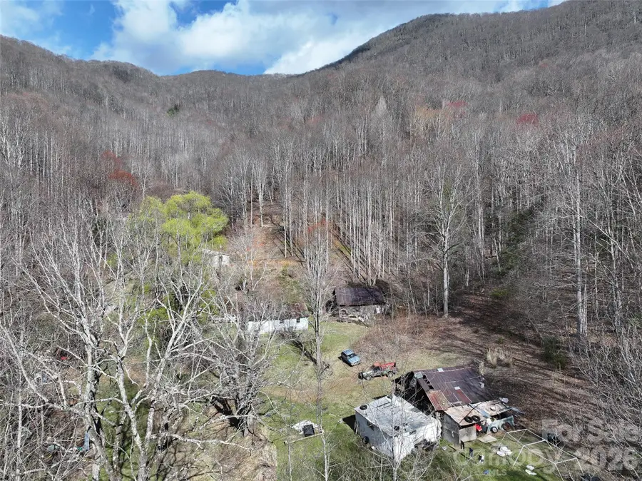 1002 Ned Cove Road, Waynesville, NC 28785 - #3