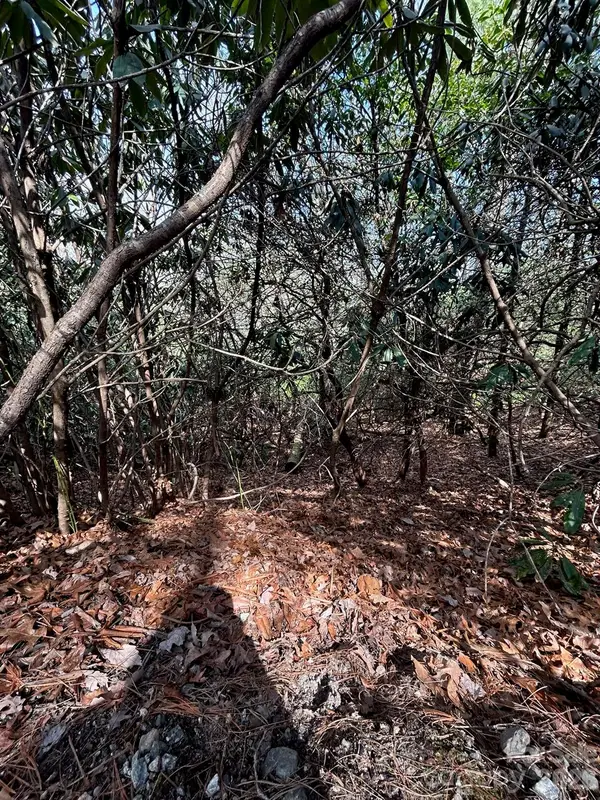 Lot 38 High Peak Road, Hendersonville, NC 28739