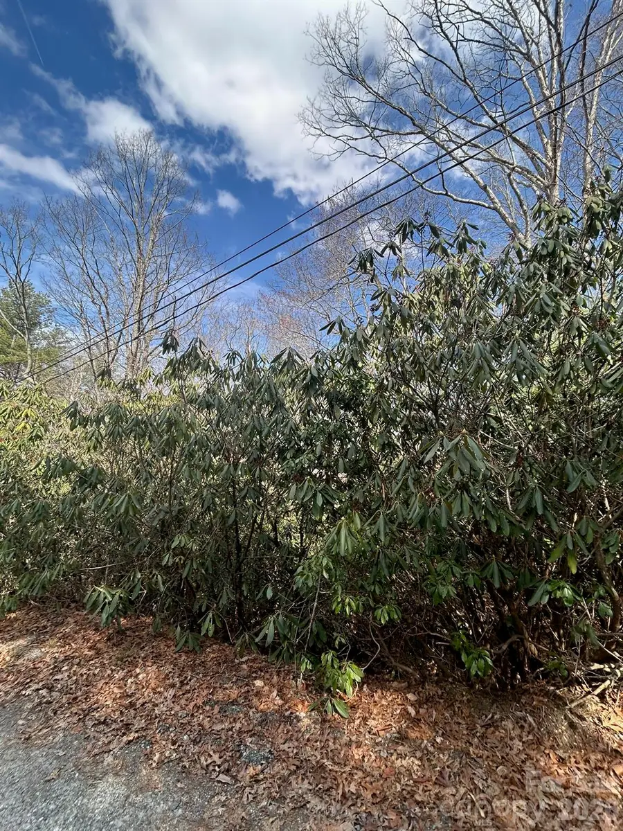 Lot 38 High Peak Road, Hendersonville, NC 28739 - #3