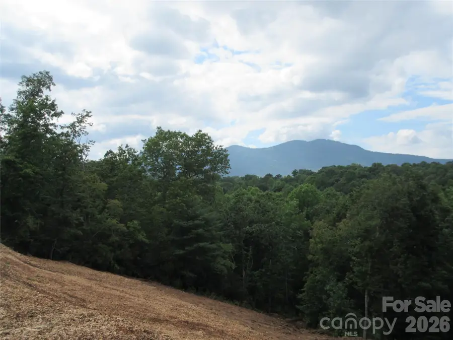 0 Levi Road, Columbus, NC 28722 - #2