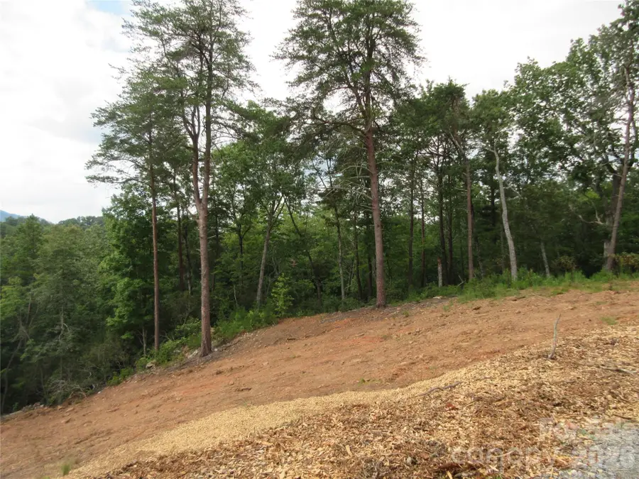 0 Levi Road, Columbus, NC 28722 - #3