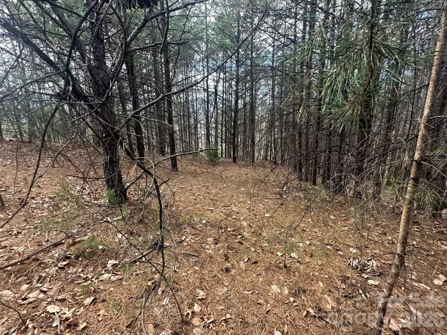 0000 Boulder Ridge, Lake Lure, NC 28746 - #3