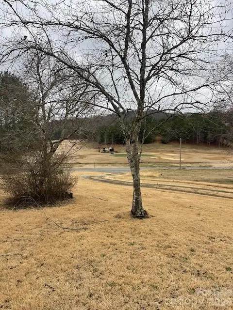 598 Buffalo Creek Road, Lake Lure, NC 28746 - #1