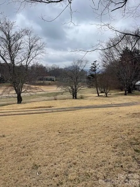 598 Buffalo Creek Road, Lake Lure, NC 28746 - #2