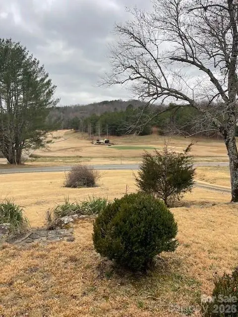 598 Buffalo Creek Road, Lake Lure, NC 28746 - #3