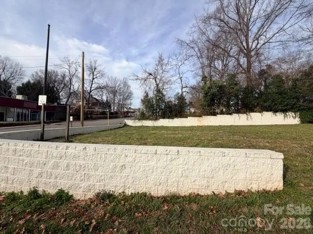 238 W Front Street, Statesville, NC 28677 - #3