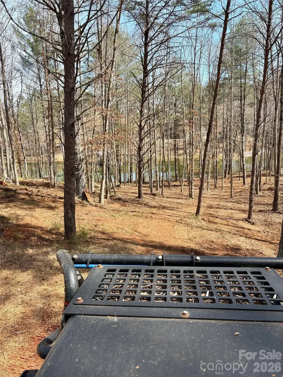 2289 Castle Peak Mountain Mountain #133, Connelly Springs, NC 28612 - #3