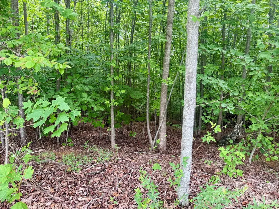 V/L Scenic Vista Drive #248, Nebo, NC 28761 - #3