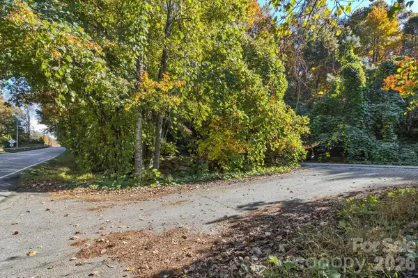 0 Waterside Drive #Lot 1B and Lot 1C, Lake Lure, NC 28746