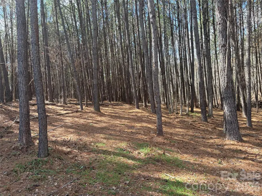 TBD Makayla Drive, Oakboro, NC 28129 - #3