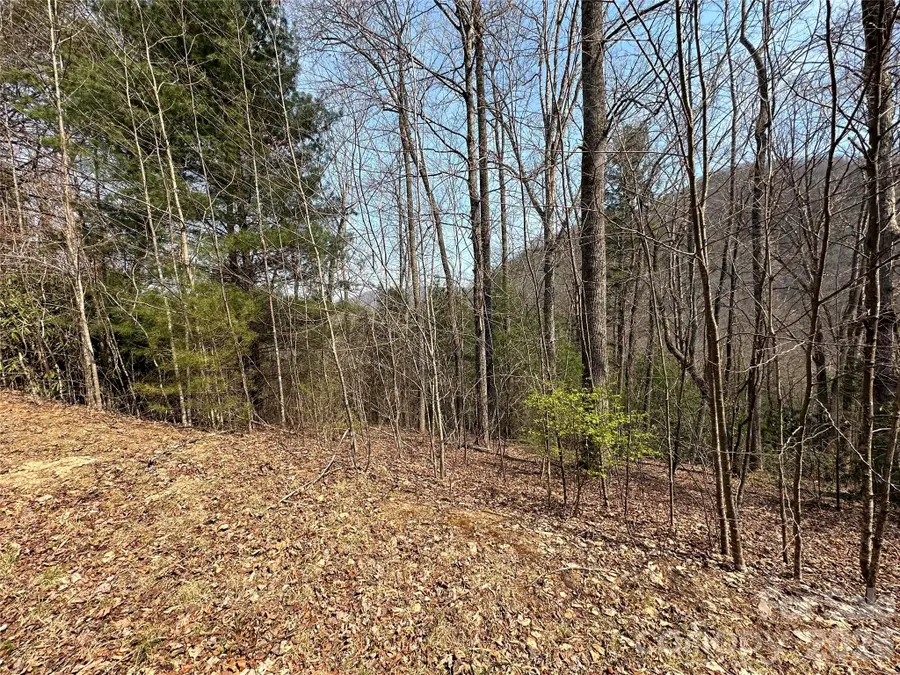 TBD Wood Stone Drive #14, Hendersonville, NC 28792 - #3