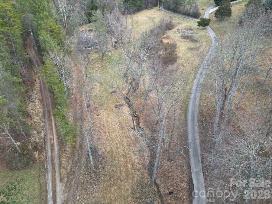 99999/46 Pug Run #4/5, Weaverville, NC 28787 - #2