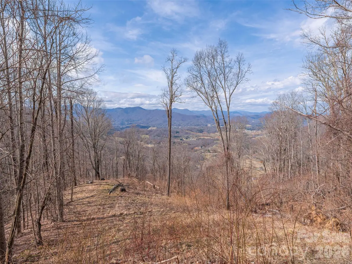 399 Goodson Spring Road, Waynesville, NC 28786 - #1