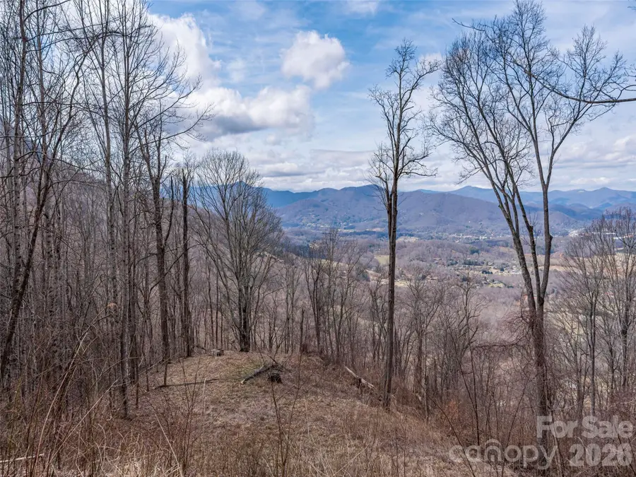 399 Goodson Spring Road, Waynesville, NC 28786 - #3