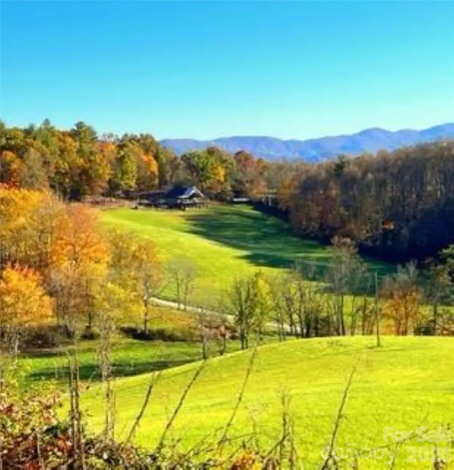 461 Ferguson Cove Loop, Clyde, NC 28721 - #2