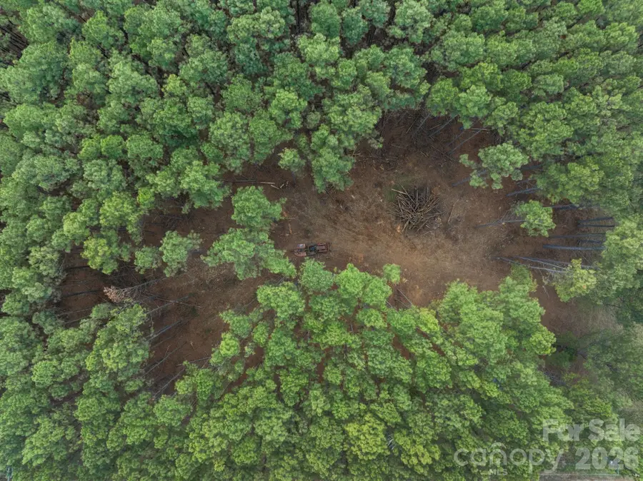 000 Horace Price Road, Pageland, SC 29728 - #3