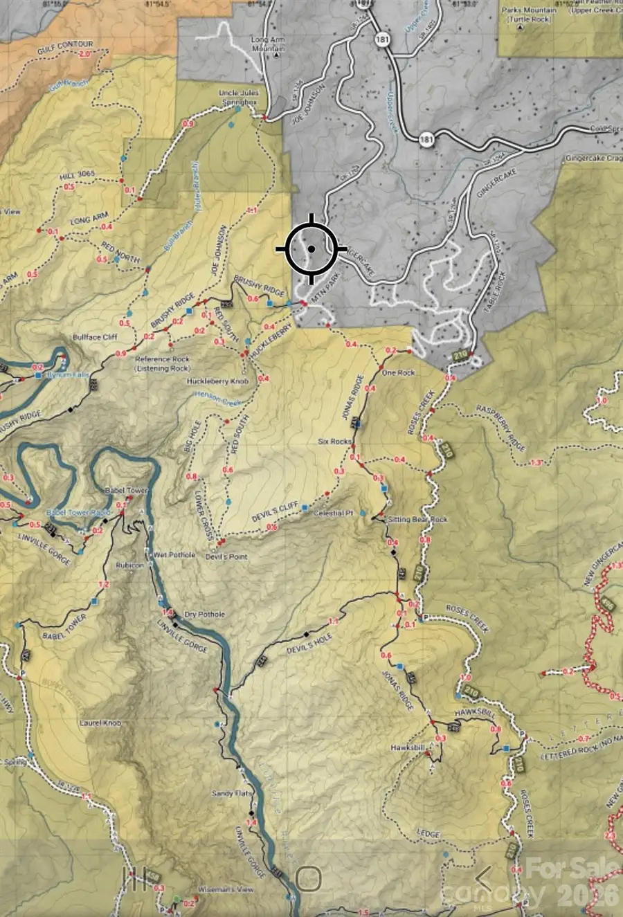 7218 Martin Road, Newland, NC 28657 - #3