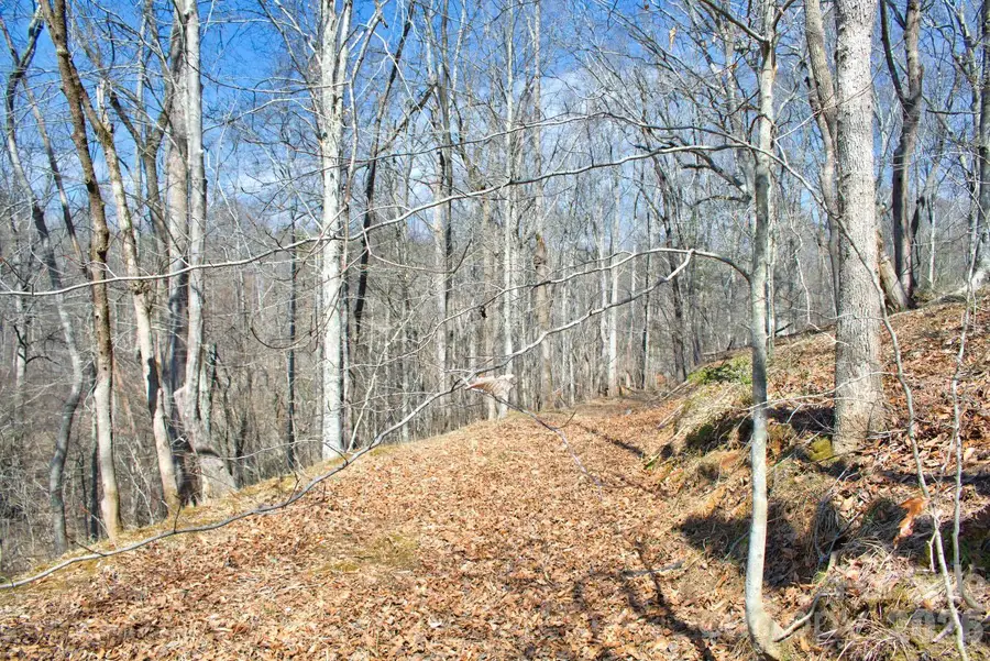 0 Cross Creek Drive #143, Rutherfordton, NC 28139 - #2