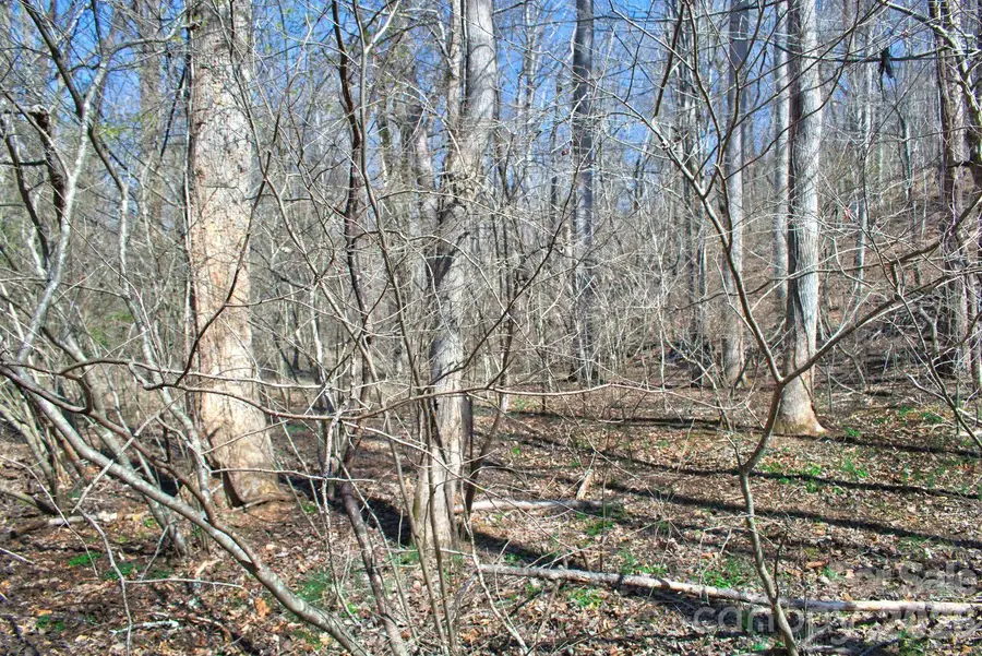 0 Cross Creek Drive #143, Rutherfordton, NC 28139 - #3