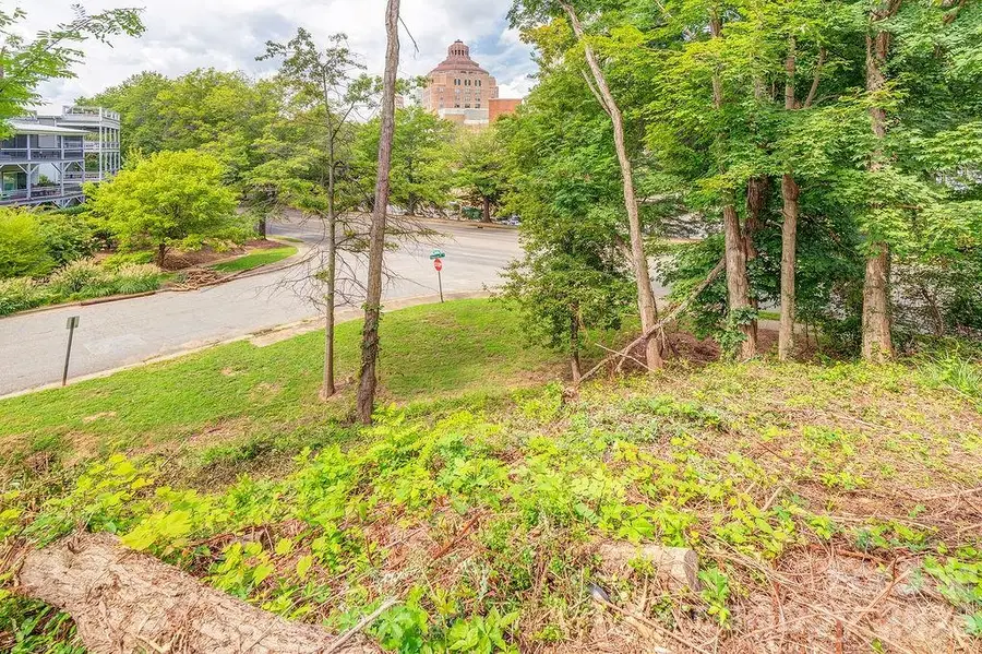 99999 Hazzard Street #17, Asheville, NC 28801 - #3