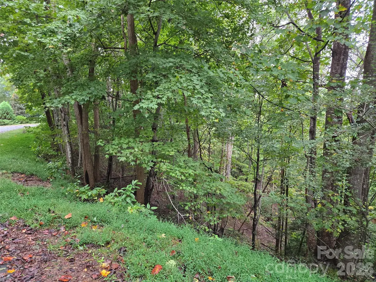 0 Waterside Drive, Lake Lure, NC 28746 - #1