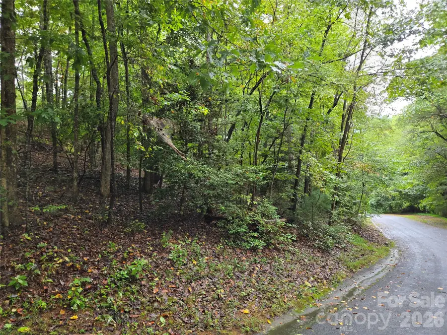 0 Waterside Drive, Lake Lure, NC 28746 - #2