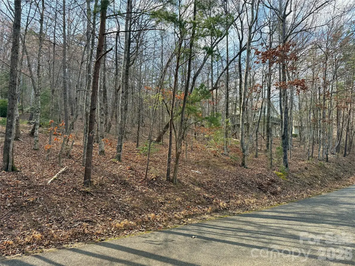 0 Hummingbird Road #275, Lake Lure, NC 28746 - #1