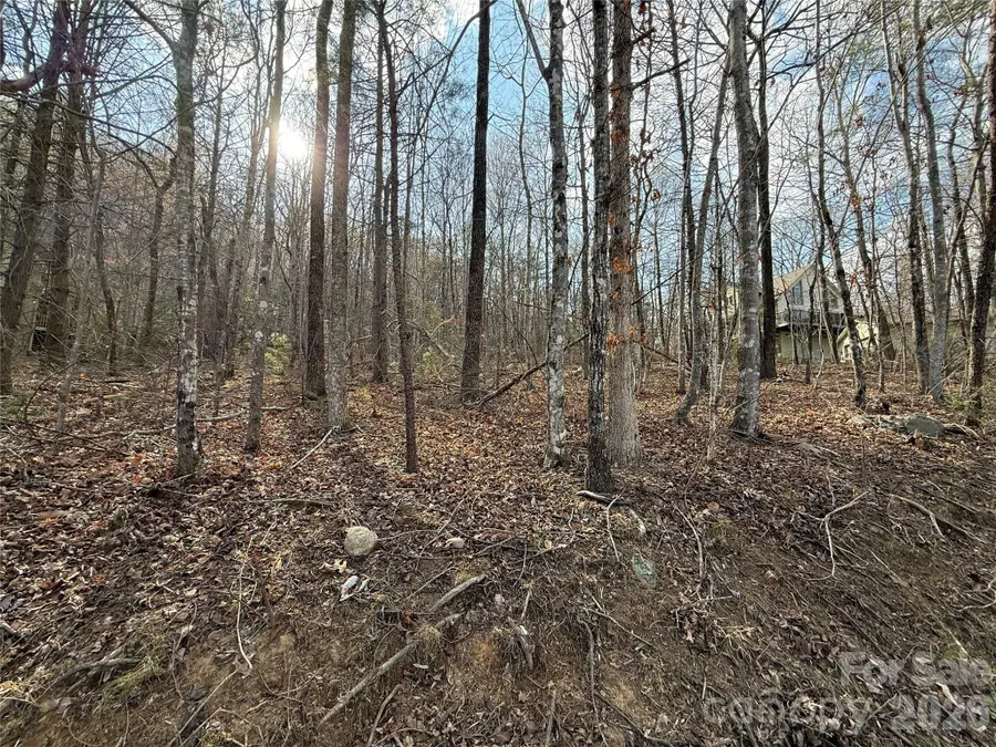 0 Hummingbird Road #275, Lake Lure, NC 28746 - #2