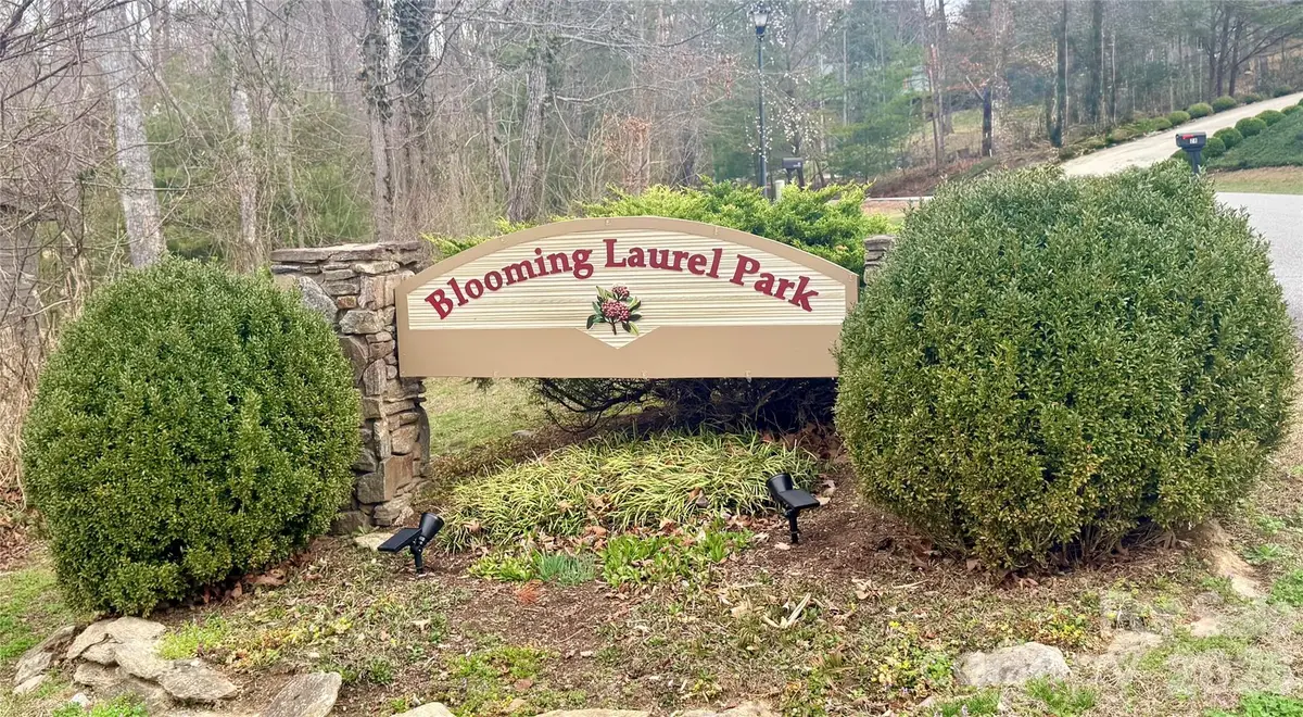 85 Baton Lane, Hendersonville, NC 28792 - #1