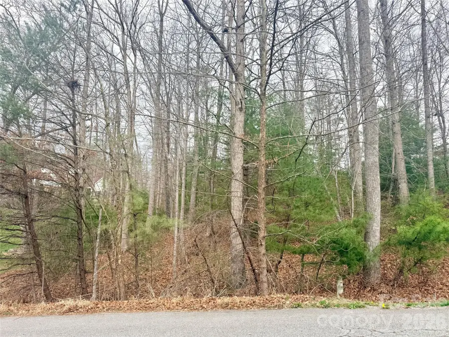 85 Baton Lane, Hendersonville, NC 28792 - #3