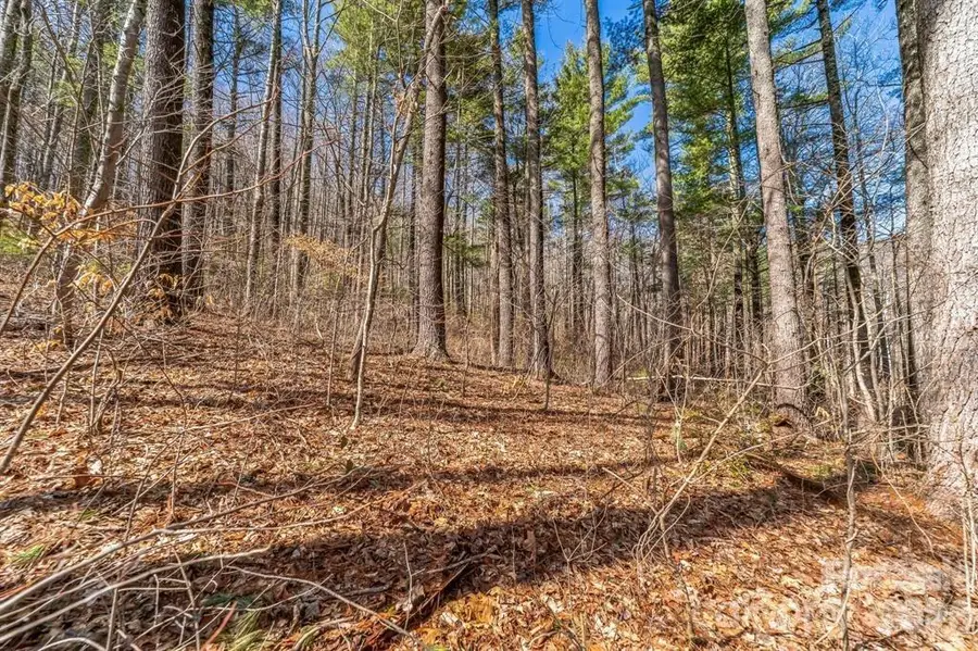 99999 Parker Road, Asheville, NC 28805 - #3