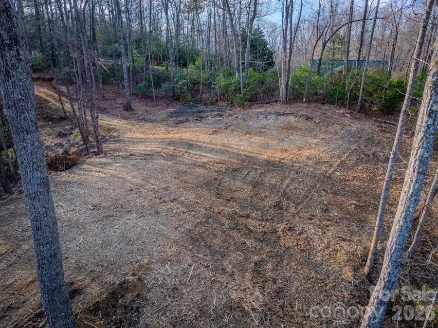 582 Faircrest Lane, Hendersonville, NC 28792 - #3