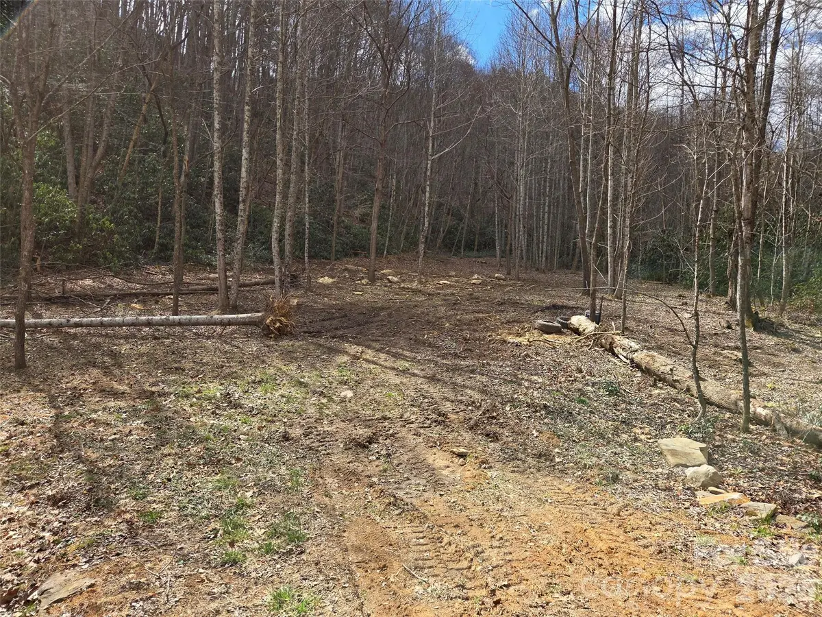 00 Laurel Branch Road, Waynesville, NC 28785 - #1