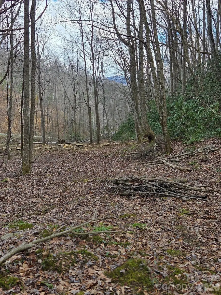 00 Laurel Branch Road, Waynesville, NC 28785 - #3