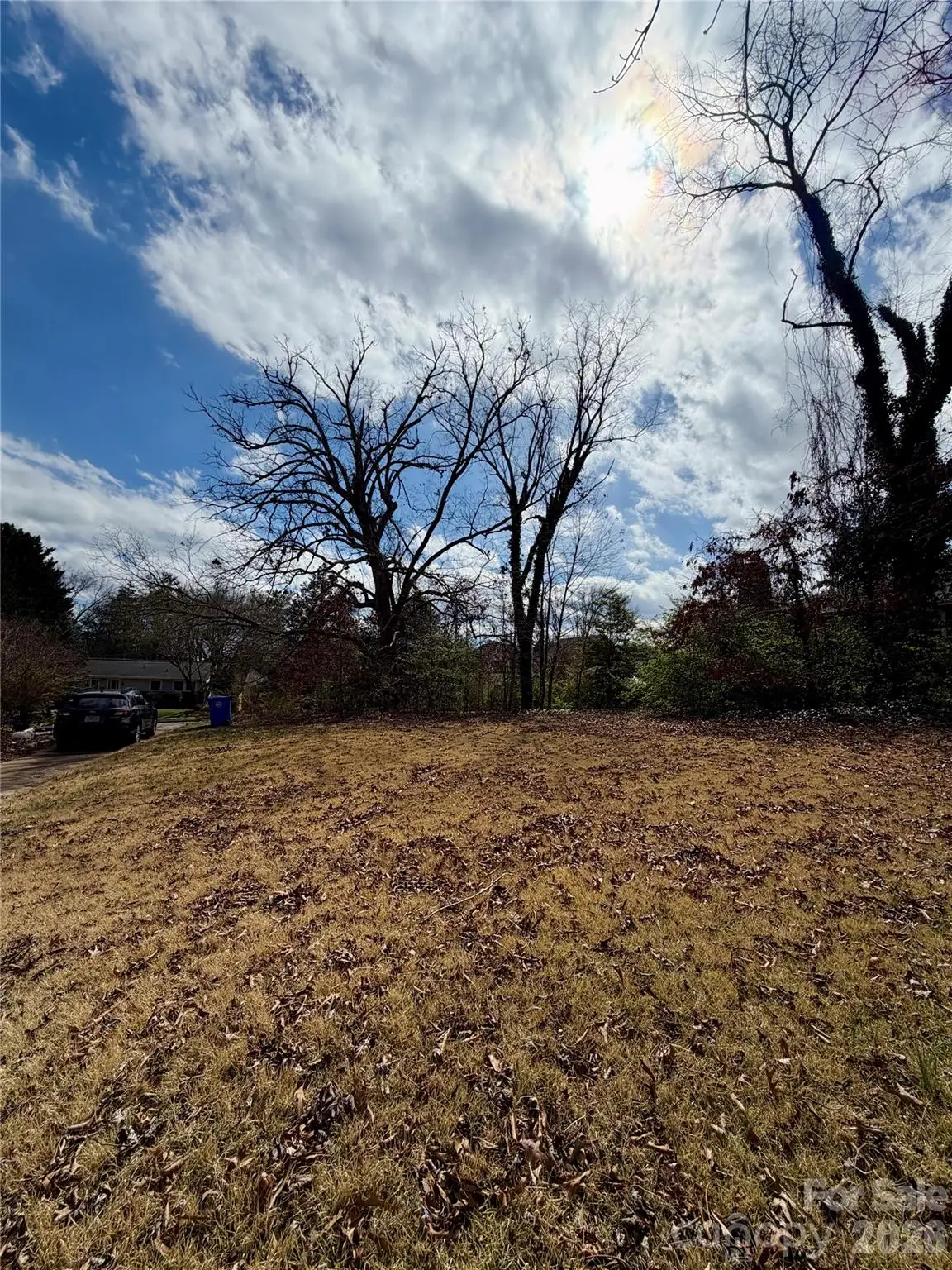 41 Maney Avenue, Asheville, NC 28804 - #1