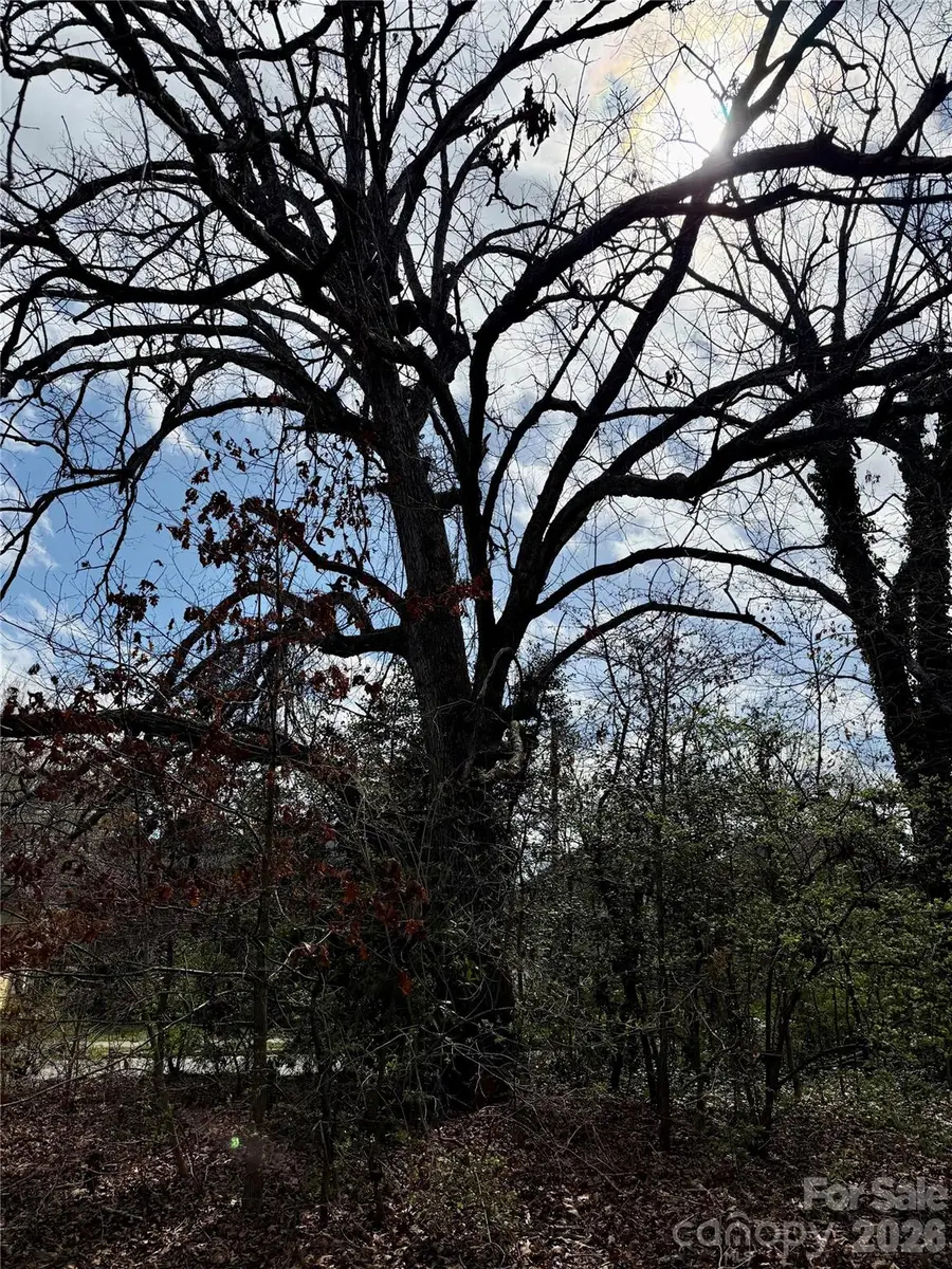 41 Maney Avenue, Asheville, NC 28804 - #3