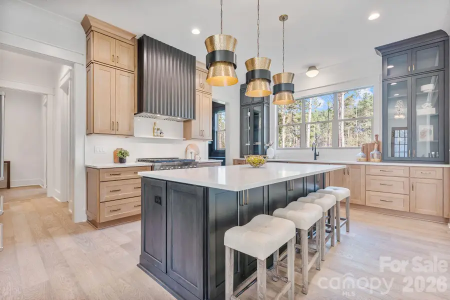 636 American Bittern Way, Clover, SC 29710 - #2