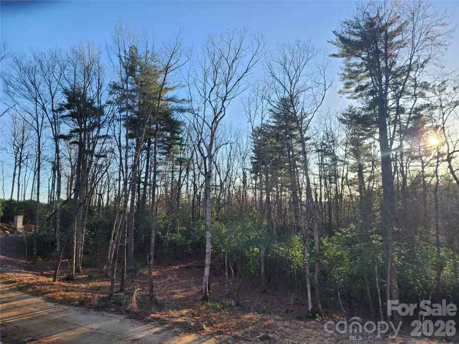 000 Bulling Creek Road, Hendersonville, NC 28739 - #2