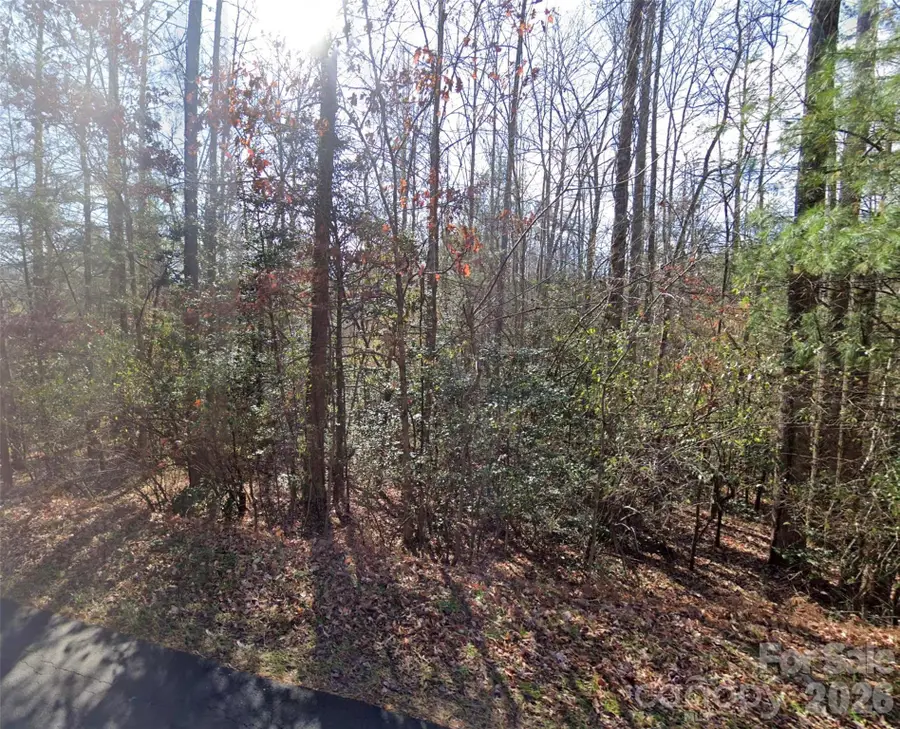 000 Fox Road, Old Fort, NC 28762 - #3