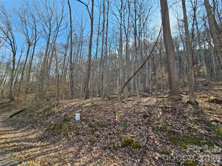 00 Red Wolf Run Road #E-7, Mars Hill, NC 28754 - #2